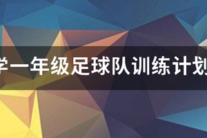 中小学足球篮球训练计划校队